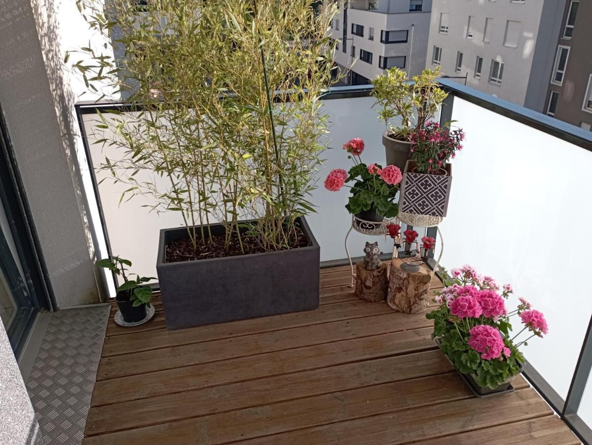 Chambre Nature Chez L'Habitant Strazburg Dış mekan fotoğraf